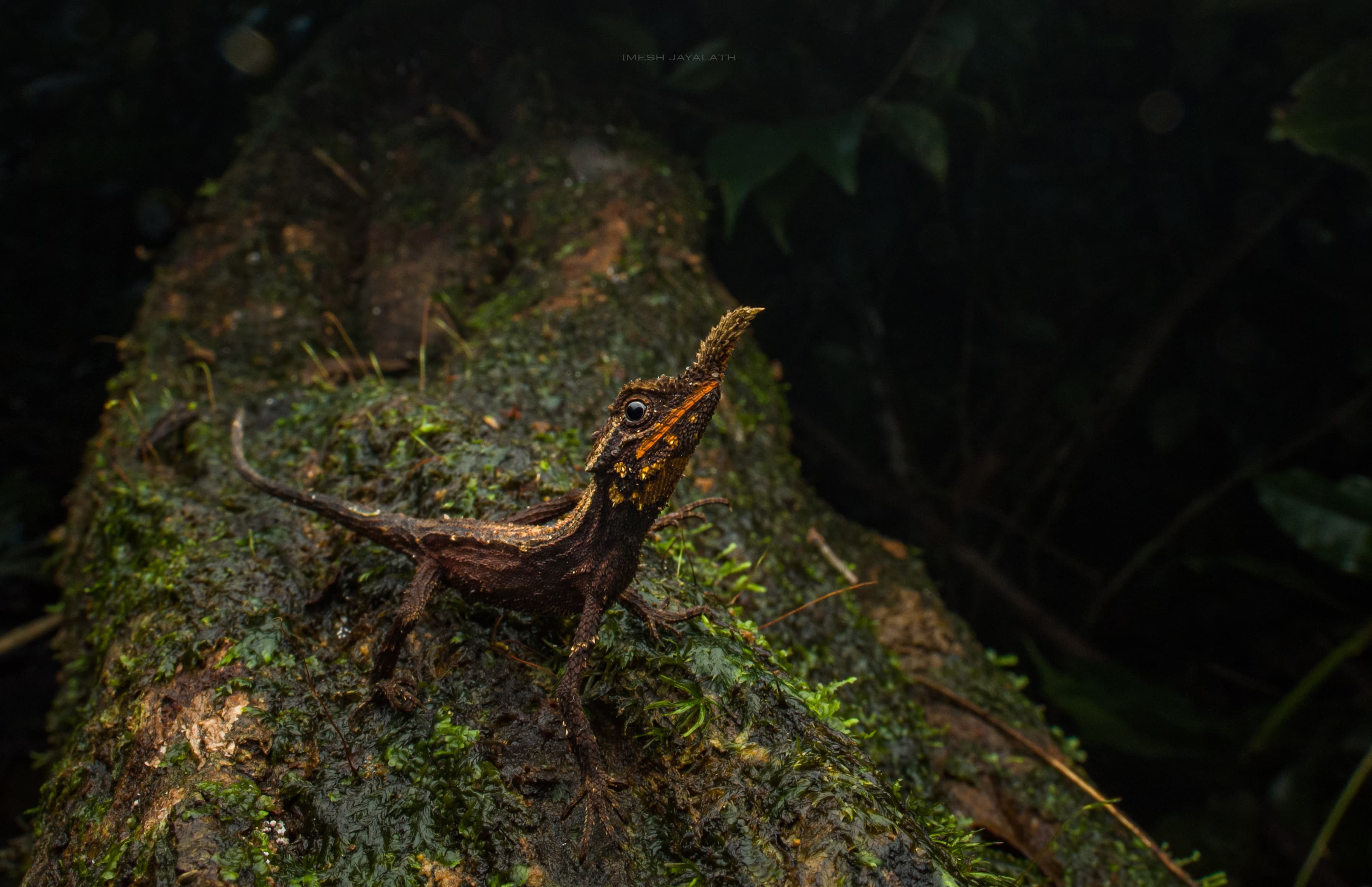 banner-one