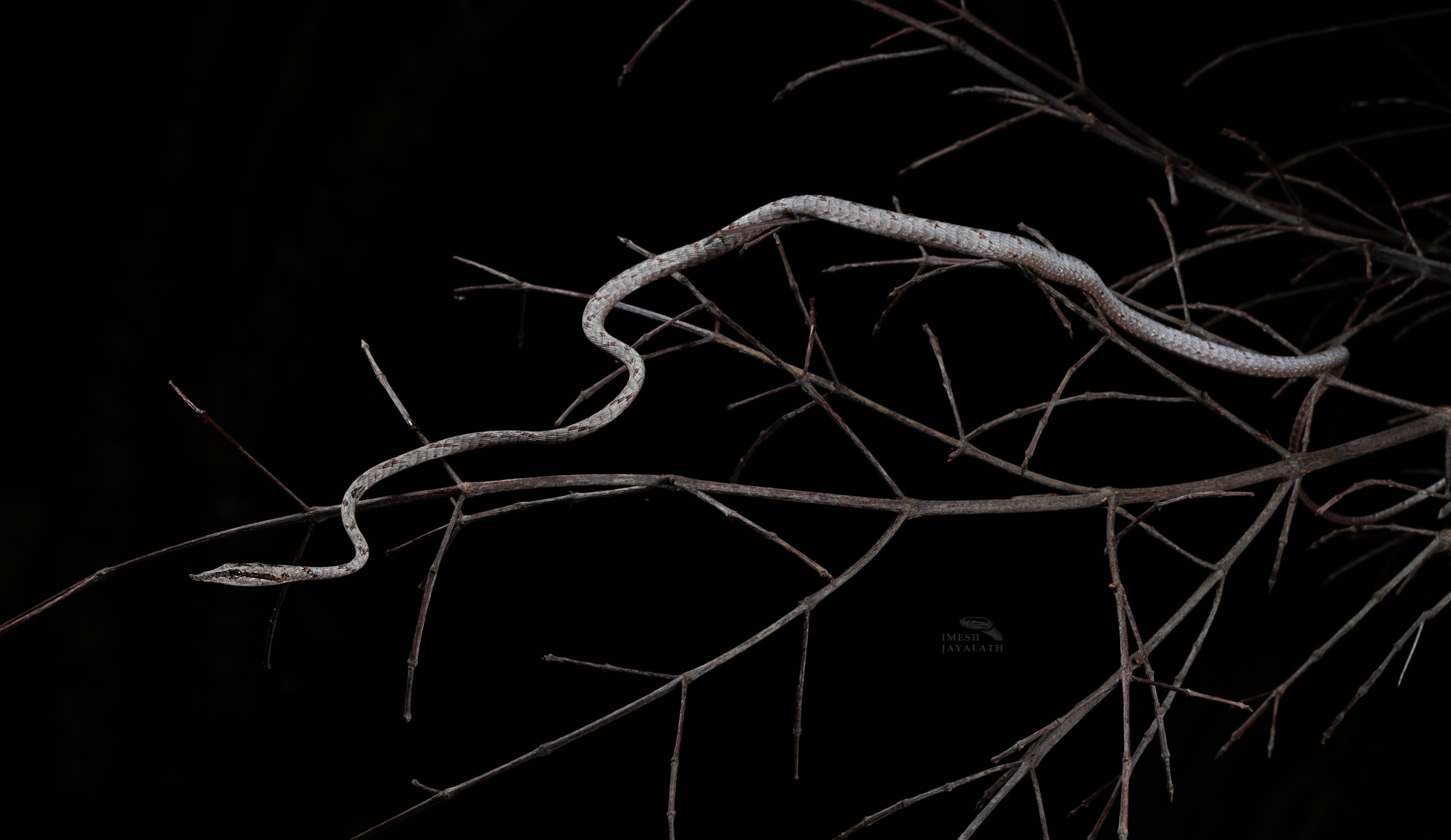 banner-one